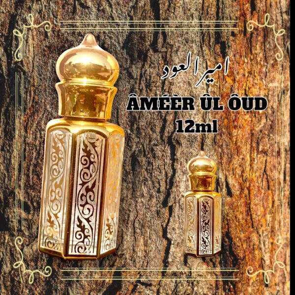 Ameer-ul-oud